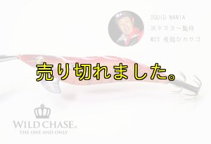 画像11: WILD CHASE 3.0号 (23) 夜遊びカサゴ (11)