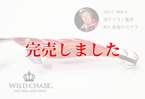画像9: 3.5号SS (23) 夜遊びカサゴ (9)