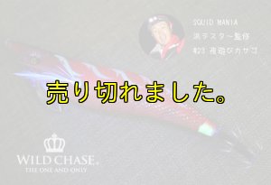 画像5: WILD CHASE 3.0号 (23) 夜遊びカサゴ (5)