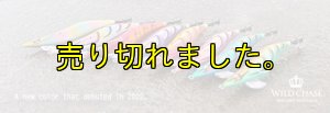 画像8: WILD CHASE 3.0号 (23) 夜遊びカサゴ (8)