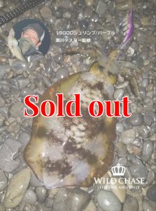 画像3: WILD CHASE 2.5号(19) God Shrimp パープル (3)
