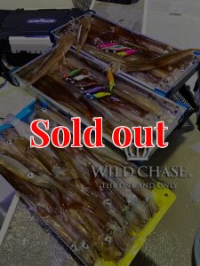 画像9: WILD CHASE 2.5号 #29  モーモーみるく ( Blue glow base ) (9)