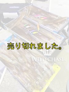 画像5: WILD CHASE 2.5号 #28  ミニキャロット (5)