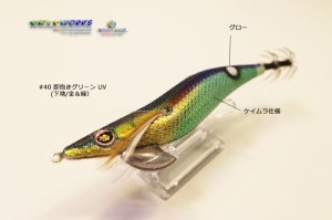 画像1: WILD CHASE 2.5号（40） 即抱きグリーンUV (1)
