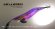 画像5: WILD CHASE  3.5号（41）ムーンパープル UV (5)