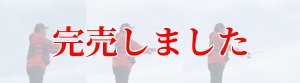 画像4: ZERO-G エヴォ 麗 802 Venus LM slow taper BORON (4)