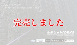 ZERO-G エヴォ凛 704 Mercury LM slow taper BORON - エギングショップ