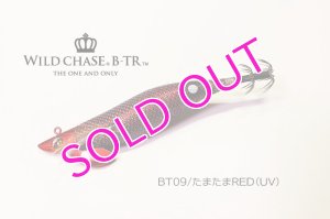 画像1: WILD CHASE/B-TR 3.0号 25ｇ/BT09/たまたまRED(UV) (1)