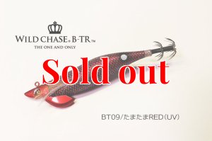 画像1: TIPRUN/B-TR 3.5号 30ｇBT09たまたまRED(UV) (1)