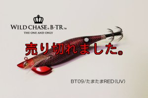 画像1: WILD CHASE/B-TR 3.0号 25ｇ/BT09/たまたまRED(UV) (1)