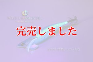画像4: 2.5号 15ｇB-TR (BT07)それいけコノシロ(UV) (4)