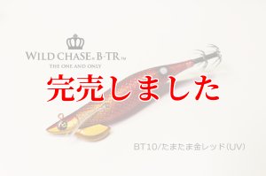 画像2: 2.5号 15ｇB-TR (BT10)たまたま金レッド(UV) (2)
