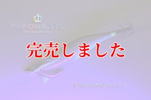 画像4: RT3.5号 30ｇB-TR (BT06)入れ食いマメアジ (4)