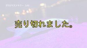 画像2: WILD CHASE/B-TR 3.0号 25g/BT03/マズメキラー(UV) (2)