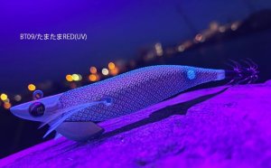 画像3: TIPRUN/B-TR 2.5号 15ｇBT09たまたまRED(UV) (3)