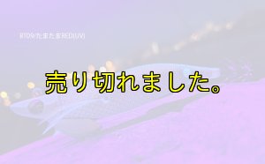 画像2: WILD CHASE/B-TR 3.5号 30g/BT09/たまたまRED(UV) (2)