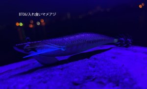 画像3: 3.5号 30ｇB-TR (BT06)入れ食いマメアジ (3)