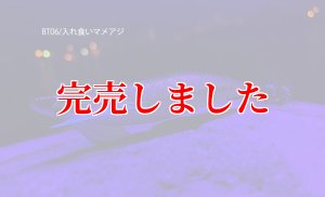 画像3: RT3.5号 30ｇB-TR (BT06)入れ食いマメアジ (3)