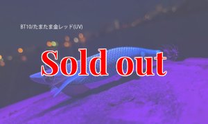画像2: TIPRUN/B-TR 2.5号 15ｇBT10たまたま金レッド(UV) (2)