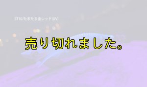 画像2: WILD CHASE/B-TR 2.5号 15g/BT10/たまたま金レッド(UV) (2)