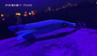 画像2: WILD CHASE/B-TR 2.5号 15ｇ/BT08/澄み潮パープル(UV)