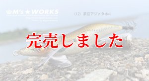 画像2: 3.5号RT (12）茶豆アジメタホロ (2)