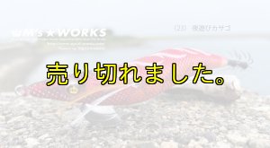 画像3: WILD CHASE 3.0号 (23) 夜遊びカサゴ (3)