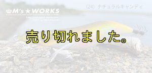 画像3: WILD CHASE 3.0号 (24) NATURAL CANDY (3)