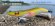 画像3: WILD CHASE 2.5号（24）ナチュラルキャンディ (3)