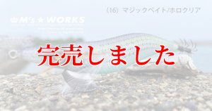 画像4: 3.0号(16)マジックベイト/ホロクリア (4)