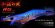 画像3: WILD CHASE 2.5号（48）RG/REALヌマエビ(UV) (3)