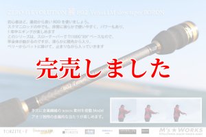 ZERO-G エヴォ 麗 802 Venus LM slow taper BORON - エギングショップ