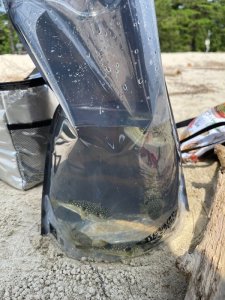 画像6: UVカット!NEW! 超極厚マルチバッグ Lサイズ(3枚入り) (6)