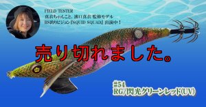 画像1: ウェーブハンター 3.5号SS （54）RG/閃光グリーンレッド (UV) (1)