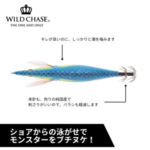 画像5: WILD CHASE 3.5号シャロー (59) RG/鬼ヒラブルー(UV&RED-glow) (5)