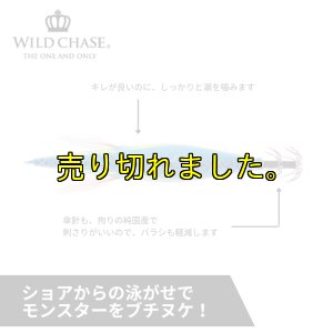 画像5: ウエーブハンター3.5号SS (59) RG/鬼ヒラブルー(UV&RED-glow) (5)