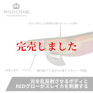 画像3: 3.5号SS  (57) RG/鬼アジオリーブ(UV) (3)