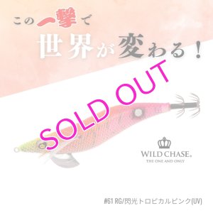 画像1: WILD CHASE 3.5号RT #61 RG/閃光トロピカルピンク(UV) (1)