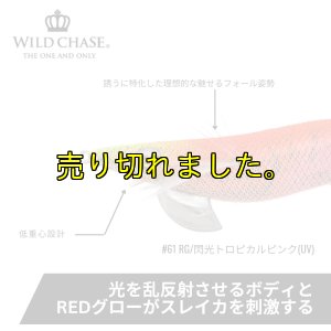 画像3: ウエーブハンター3.5号SS (61) RG/閃光トロピカルピンク(UV＆RED-glow) (3)