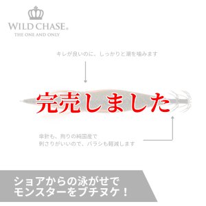 画像4: 3.5号SS  (57) RG/鬼アジオリーブ(UV) (4)