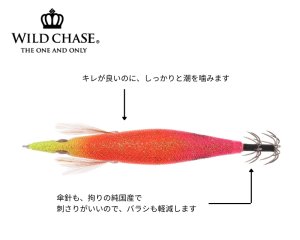 画像4: WILD CHASE 3.5号シャロー (61) RG/閃光トロピカルピンク(UV&RED-glow) (4)