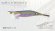 画像1: WILD CHASE/B-TR 2.5号 15ｇ/BT20/RG/鬼ゴチパープル (1)