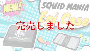 画像1: NEWロゴ / W20メッシュ EGI ケース   (1)