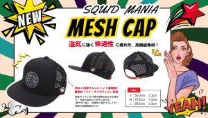 画像1: ハイ・ブリザテック ハーフメッシュCAP (SSロゴ丸枠/シルバー) (1)