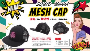 画像1: ハイ・ブリザテック ハーフメッシュCAP (NewロゴPINK) (1)