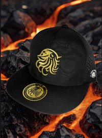 画像2: 東レ/ブリザテック ハーフメッシュCAP (NewロゴGOLD)