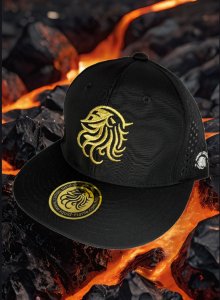 画像1: 東レ/ブリザテック ハーフメッシュCAP (NewロゴGOLD) (1)