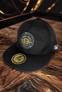 画像2: 東レ/ブリザテック ハーフメッシュCAP (SSロゴ丸枠/ゴールド&シルバー)