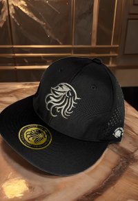 画像2: 東レ/ブリザテック ハーフメッシュCAP (Newロゴガンメタ)