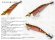 画像1: WILD CHASE/B-TR 3.0号 25ｇ/BT22/RG/鬼ハゼRED (1)